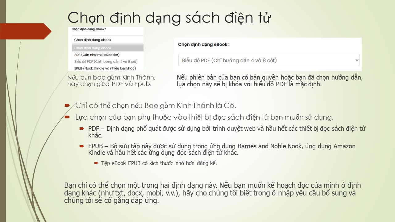Trang Chiếu 37