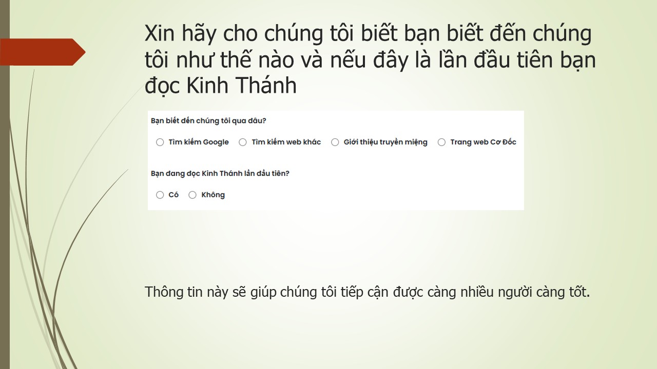 Trang Chiếu 41