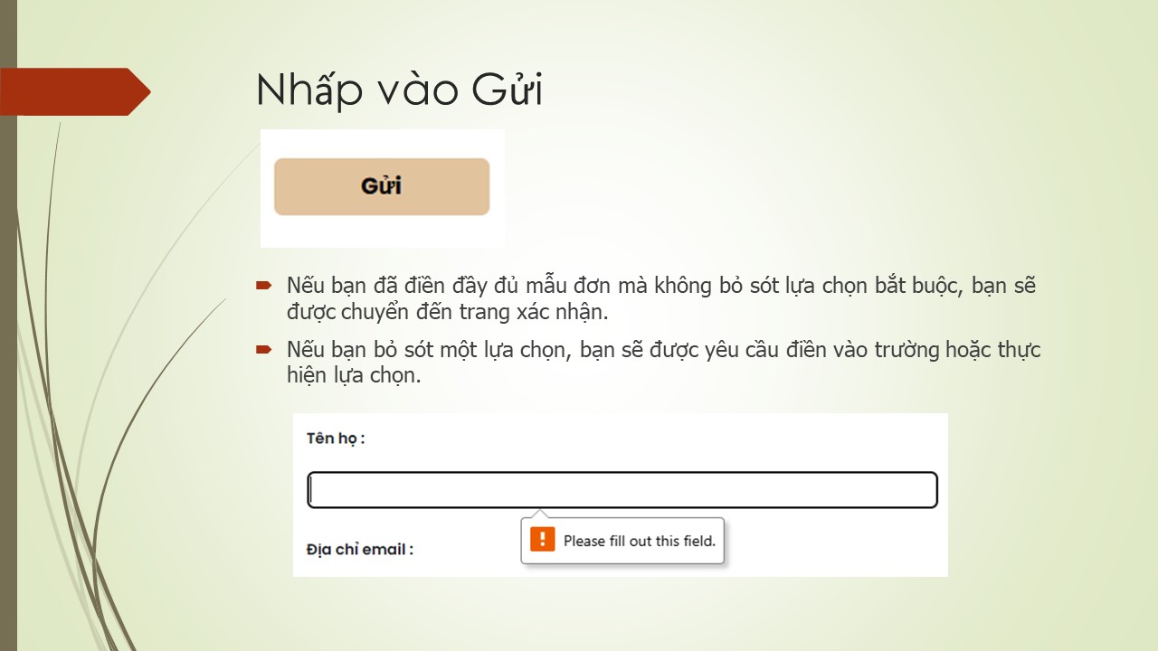 Trang Chiếu 42