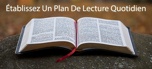 
Lecture de la Bible en français

