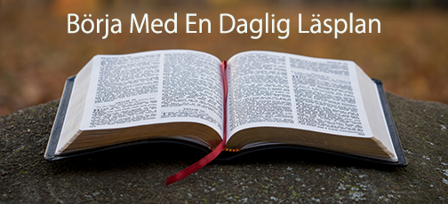 
Svenska bibelläsningsplaner

